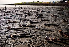 Wattol&uuml;mpiade Brunsb&uuml;ttel - Daniel Bockwoldt/dpa