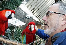 99 V&ouml;gel leben bei Wolfgang Busse - D&ouml;rentrup