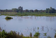 Spanien - Francisco J. Olmo/EUROPA PRESS/dpa