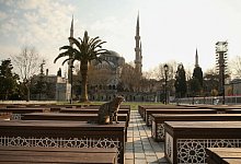 Straßenkatze in Istanbul - Emrah Gurel/AP/dpa