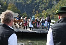 Almabtrieb am K&ouml;nigssee - Foto: Kilian Pfeiffer/dpa