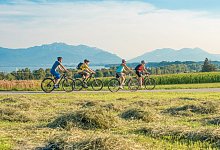 Fahrradfahrer genießen die Natur - Foto: Kuse Aichhorn/Chiemgau Tourismus e.V./dpa-tmn