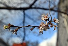 Milde Temperaturen in NRW - Federico Gambarini/dpa