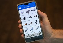 Die Nabu-App &laquo;Vogelwelt&raquo; - Foto: Andrea Warnecke