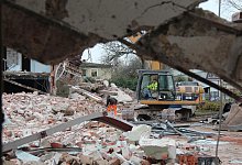 Frangipani - Till Brand