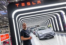 Tesla Gigafactory Berlin-Brandenburg - Patrick Pleul/dpa