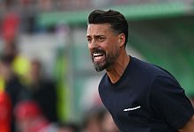 Hallescher FC - FC Augsburg - Hendrik Schmidt/dpa