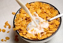 Milch wird in eine Schale Cornflakes gegossen - Zacharie Scheurer/dpa-tmn