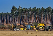 Baustelle der Tesla Fabrik - Foto: Patrick Pleul/dpa-Zentralbild/dpa