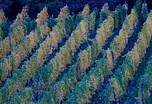 Wetter - Thomas Banneyer/dpa