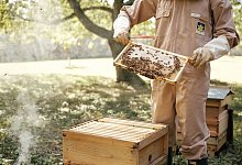 Prinzessin Kate - Matt Porteous/Kensington Palace/PA Media/dpa