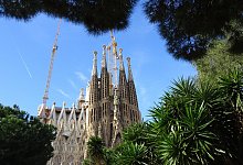 Gr&uuml;ner Rahmen - Foto: Andrea Warnecke/dpa-tmn