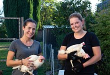 Rettet das Huhn - Patrizia Lerch