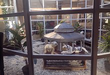 ausstellungkulturund-schule1 - Isolde Frepoli