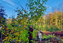 img_4918 - Rudolph-Brandes-Gymnasium