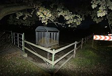 Die Stute Meli ist von einer Weide an der Herforder Stra&szlig;e verschwunden. - Angelina Kuhlmann