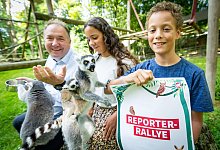 4096-2732 - Sarah Jonek