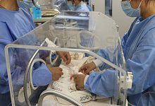 Panda-Nachwuchs im Berliner Zoo - ---/Zoo Berlin/dpa