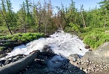Neuer Umweltskandal in russischer Tundra - Foto: Elena Kostyuchenko/Elena Kostyuchenko, Novaya Gazeta/AP/dpa