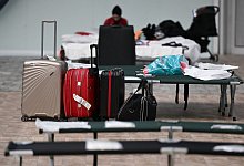 Notbetten stehen in einer Frankfurter Sporthalle f&uuml;r ukrainische Kriegsfl&uuml;chtlinge bereit. - Arne Dedert/dpa