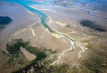 Wattenmeer - Sina Schuldt/dpa