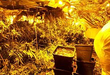 unbekannt - Polizei H&ouml;xter