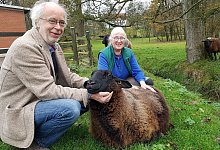 Schaf Clara - Marianne Schwarzer(LZ)