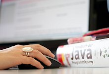 Informatik-Studentin - Foto: Friso Gentsch/dpa