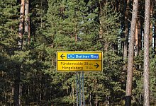 Stra&szlig;enschilder - Foto: Patrick Pleul/dpa-Zentralbild/dpa