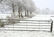 Winter in Niedersachsen - Lars Penning/dpa