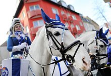 Pferde in Karnevalsz&uuml;gen - Rolf Vennenbernd/dpa/Archivbild