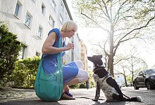 Kurz und ruhig - Foto: Christin Klose