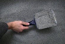 Frau s&auml;ubert ein Katzenklo - Ina Fassbender/dpa-tmn