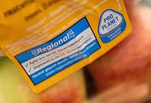 Regional - Foto: Lino Mirgeler/dpa