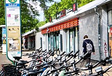 img_6757 - Daniel Salmon