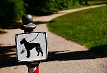 Hunde - picture alliance / dpa