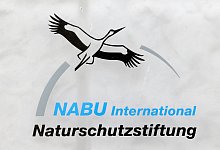 Nabu - Wolfgang Kumm/dpa/Archivbild