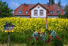 Ferienhaus an der Ostseeküste - Jens Büttner/dpa