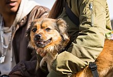 Ein Paar mit Hund - Christin Klose/dpa-tmn