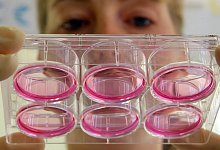 Labor - picture-alliance/ dpa