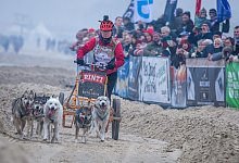 Schlittenhunderennen "Baltic Lights" - Jens B&uuml;ttner/dpa