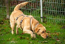 rba_0014-7 - Raphael Bartling