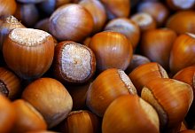 Nur ganze N&uuml;sse unbelastet - Foto: Silke Heyer/dpa-tmn