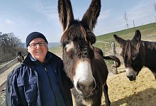 Esel - Sylvia Frevert