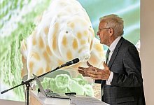 Vorstellung einer neuen Bärtierchen-Art - Philipp von Ditfurth/dpa