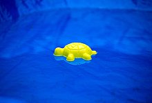 Swimmingpool - picture alliance / Arno Burgi/dpa-Zentralbild/ZB