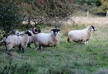 file7d6kuab3e0x1i4nik770 - Martin D&uuml;sterberg