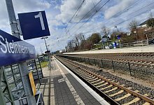 20230322_110242 - David Schellenberg