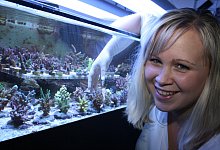 Liebt die Vielfalt aus dem Meer - Sandra Castrup