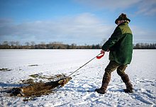 Niedersachsen - Sina Schuldt/dpa